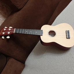 Укулеле сопрано Apelila RS (комплект)