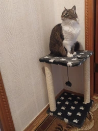 Царапка Lucky Pet домик сезалевый "Симба 2" 33 х 33 х 44 см Черная (4820224215877) фото от покупателей 2