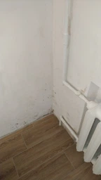 Засіб для видалення плісняви і грибка Galax 500 мл (4260637722546) фото від покупців 9
