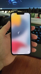 Мобильный телефон Apple iPhone 13 128GB Midnight (MLPF3HU/A)