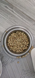 Сухой гипоаллергенный корм Purina Pro Plan Veterinary Diets HA Hypoallergenic для кошек с аллергией 1.3 кг фото от покупателей 5