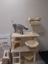 Ігровий комплекс (дряпка), будиночок для кота 140х75×40 см Avko CatTree сіра 1950 - кілька платформ для лазання та ігор, будиночок для відпочинку, лежак фото від покупців 7