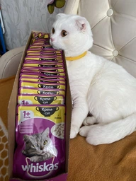 Влажный корм для котов Whiskas крем-суп с курицей 85 г (4770608255435)