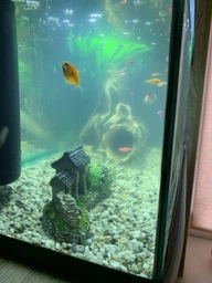 Средство по уходу за водой Tetra Aqua Crystal Water от помутнения воды 100 мл (4004218144040) фото от покупателей 3