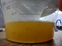 Ручна соковижималка (соковичавниця) Irak Plastik для лимона 250 мл Біла (6660kmd)
