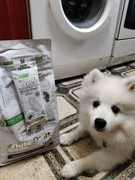 Сухий беззерновий гіпоалергенний корм для цуценят всіх порід Nature's Protection Superior Care White Dogs Grain Free Junior All Breeds Натюр Протекшн Суперіор Кєр Джуніор для білого забарвлення з лосоем та крилем 1,5 кг (4771317456717) фото от покупателей 2