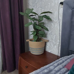 Кошик натуральний Natural House Nature з ручками 30 х 25 см (NEW-14) фото від покупців 1