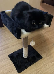 Когтеточка Pet Goods "Пушистик" столбик с диваном (джут) шоколад с бежевым 30х33х50 см (4820216672015) фото от покупателей 9