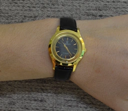 Годинник Christina 300SWBL (1камень) кварц.