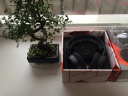Наушники SteelSeries Arctis 3 Black (SS61433)