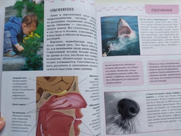 О теле человека - Жабская Т.С. (на русском языке) (9786177292554) фото от покупателей 5