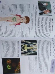О теле человека - Жабская Т.С. (на русском языке) (9786177292554) фото от покупателей 2