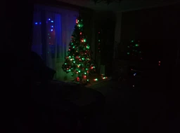 Гирлянда Матовый Шарик большой 100LED 9 м Мультицветная фото от покупателей 3