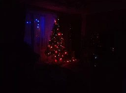 Гирлянда Матовый Шарик большой 100LED 9 м Мультицветная фото от покупателей 1