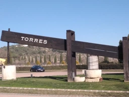 Вино Torres Vina Esmeralda белое сухое 0.75 л (8410113001122_2233764337640) фото от покупателей 2