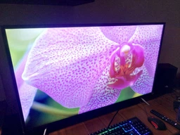 Телевизор Thomson 43UC6306 Smart TV, UHD, 43"! фото от покупателей 2