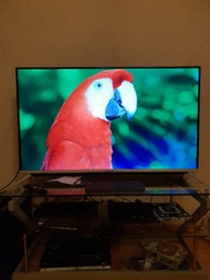 Телевизор Skyworth 43G6 фото от покупателей 7