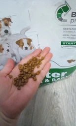Сухой корм для собак мелких пород Royal Canin Mini Starter для беременности и лактации 1 кг фото от покупателей 10