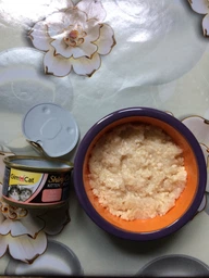 Влажный корм для котят GimCat Shiny Cat Kitten in Jelly 70 г, с курицей фото от покупателей 1