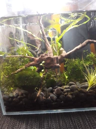 Акваріум aGLASS Nano 42л (35*35*35)