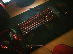 Клавиатура игрвая HyperX Alloy FPS Pro Cherry MX Red (HX-KB4RD1-RU/R1) фото от покупателей 1