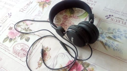 Наушники Sven AP-320M Black (00850208)