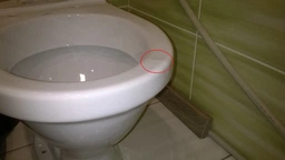Унитаз-компакт Cersanit Eko Е 031 K07-167 с сидением Duraplast фото от покупателей 3