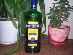 Ликерная настойка на травах Becherovka 0.7 л 38% (8594405101049) фото от покупателей 1