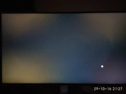Монитор 23.8" LG 24MP88HV-S фото от покупателей 8