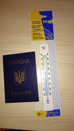 Термометр TFA 12300802