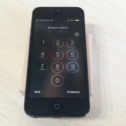 Мобильный телефон Apple iPhone 5s 16GB Gold фото от покупателей 7