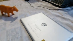 Планшет Prestigio MultiPad Visconte 32GB (PMP810EWH)