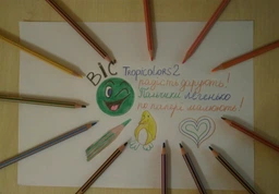Олівці кольорові BIC Tropicolor 12 кольорів (3270220022503) фото від покупців 3