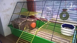Будиночок для гризунів Trixie 62051 Hanna 26х16х15 см (4011905620510) фото від покупців 1