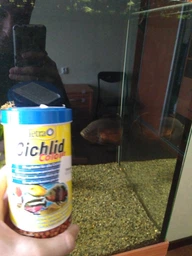 Корм Tetra Cichlid Colour для аквариумных рыб в гранулах 500 мл (4004218197343) фото от покупателей 1