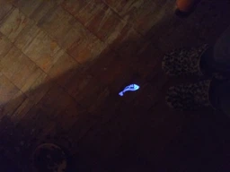 Игрушка Trixie Лазерная указка LED «Catch the Light» для кошек, 8 см (алюминий) фото от покупателей 4