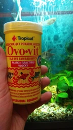 Корм Tropical Ovo-vit для акваріумних риб у пластівцях 1 л (5900469770368) фото від покупців 6