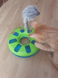 Іграшка для котів Trixie Трек ігровий з мишкою «Crazy Circle» d:24 см, h:29 см