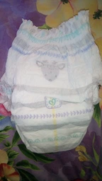 Підгузки-трусики Pampers Premium Care Pants розмір 4 (9-15 кг), 38 шт