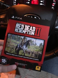 Гра Red Dead Redemption 2 для PS4 (Blu-ray диск) фото від покупців 2