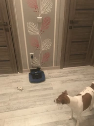 Робот-пылесос PHILIPS SmartPro Easy FC8792/01 фото от покупателей 3