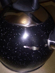 Чайник зі свистком Bollire BR-3009 2.5 л