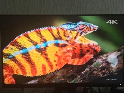 Монітор 23.8" Dell P2418D (210-AMPS) фото від покупців 5