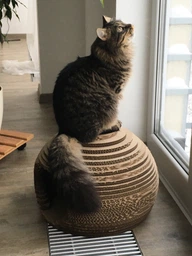 Домик-когтеточка для котов КотоФабрика КотоСфера 28 х 45 см Коричневый KFH-003 (5351312003124) фото от покупателей 2
