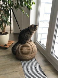 Домик-когтеточка для котов КотоФабрика КотоСфера 28 х 45 см Коричневый KFH-003 (5351312003124) фото от покупателей 1