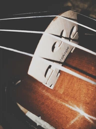 Скрипка STENTOR 1500/F STUDENT II VIOLIN OUTFIT 1/4 фото от покупателей 6