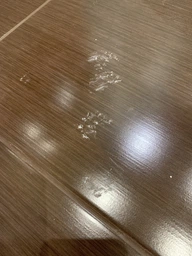 Наповнювач туалетів для кішок Ever Clean Мульті-Кристали - 10л