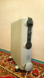 Оливний (масляний) радіатор DELONGHI TRRS 0920 фото від покупців 2