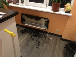 Конвектор електричний Gorenje OptiHeat 2000 GTP фото від покупців 1