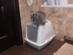 Туалет для кішок Moderna Flip Cat 50х39х37 см Чорничний C230331 (5412087007950) фото від покупців 11